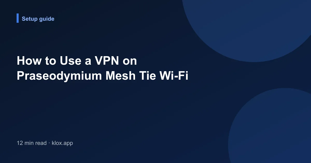 How to Use a VPN on Praseodymium Mesh Tie Wi-Fi